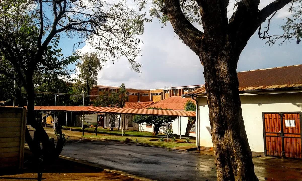 Job Shimankana Tabane Provincial Hospital in Safari Extension