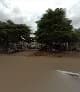 Nellyani Properties and Investment Ltd in Kagini