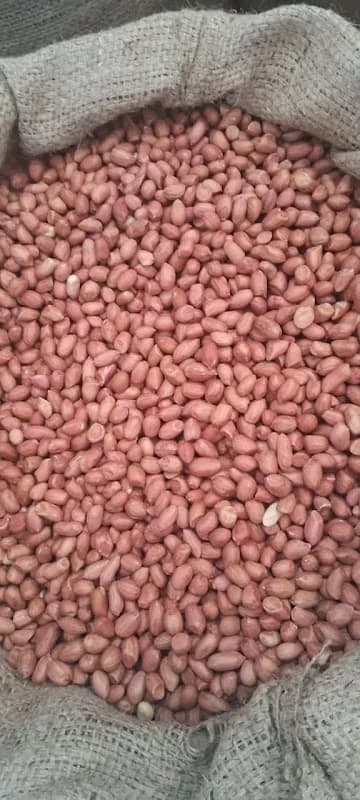 SYEDS PEANUTS AND RAISINS in Kimberley CBD