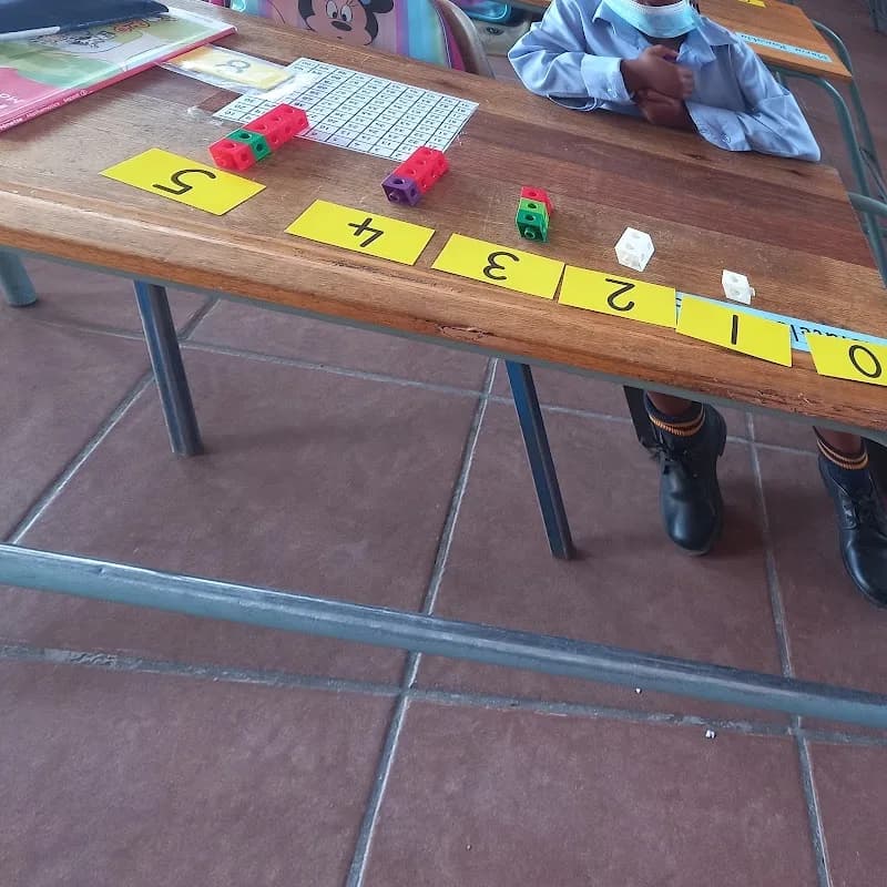 Snell Phoshoko Primary School in Seshego