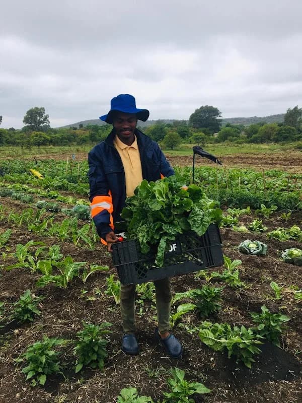 GMB Agriculture and Farming in Tlhabane