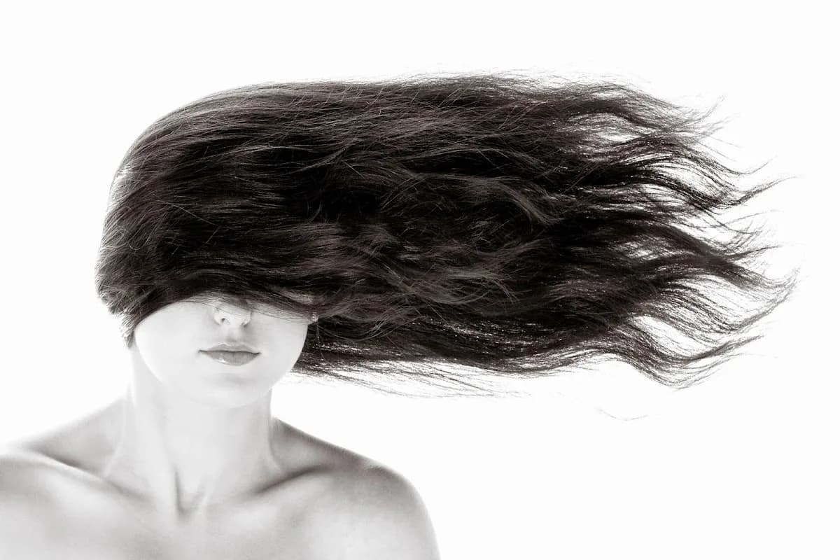 SA model services (Photographic studio) in Alberton