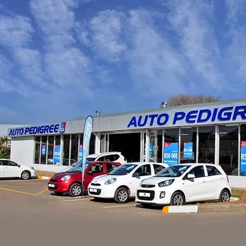 Auto Pedigree Qwa-Qwa in Phuthaditjhaba CBD