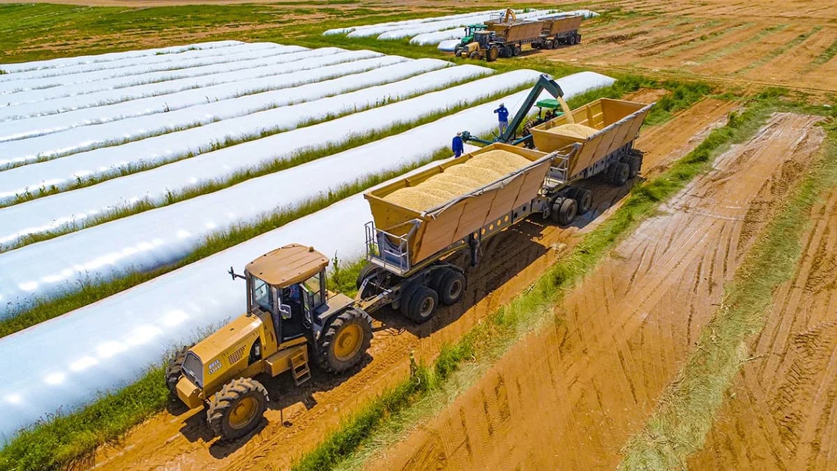 Bell Equipment Sales SA (Pty) Ltd - Middelburg MP in Middelburg CBD