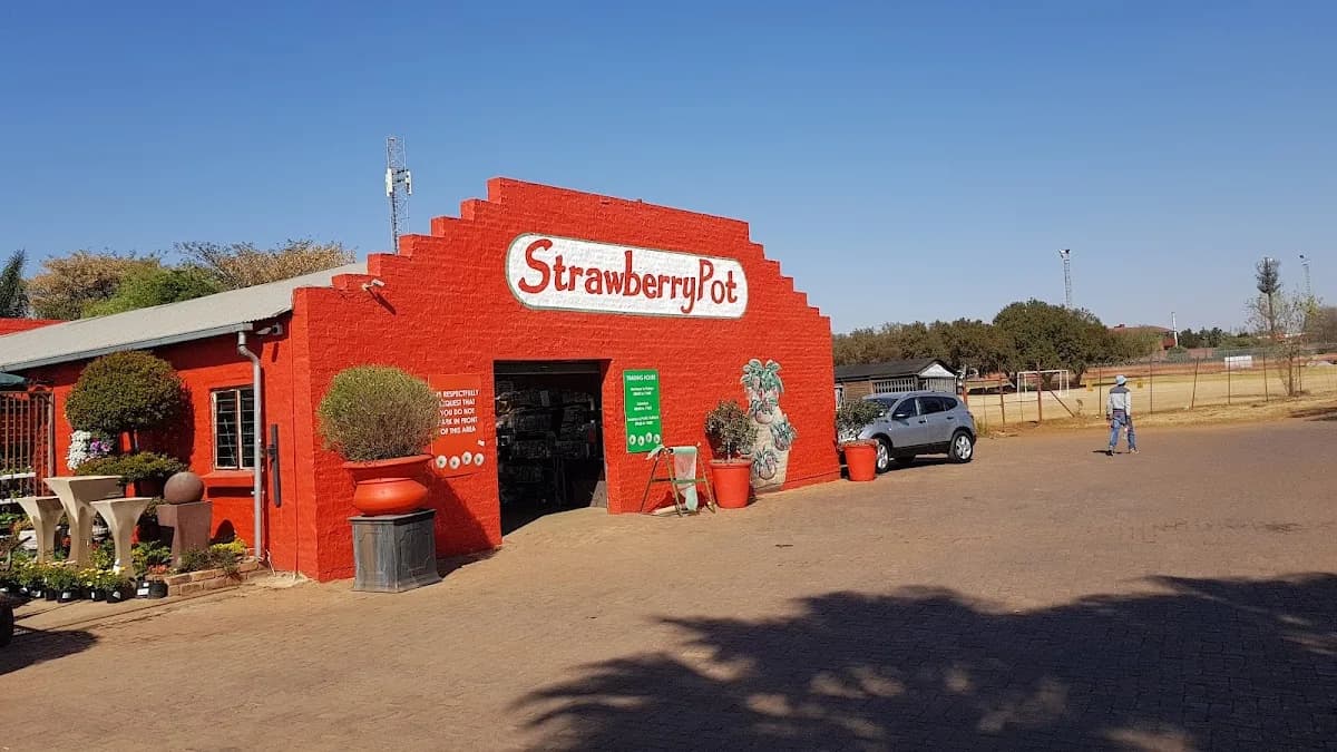 Strawberry Pot in Centurion