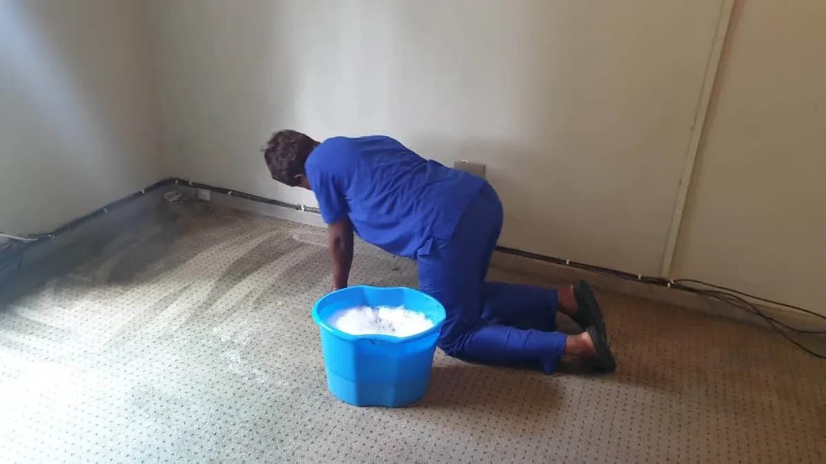 Nuc House Cleaning & Carpet Wash in Centurion CBD