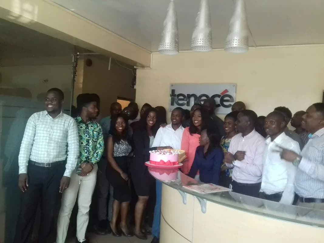 Tenece Professional Services Limited in Victoria Island