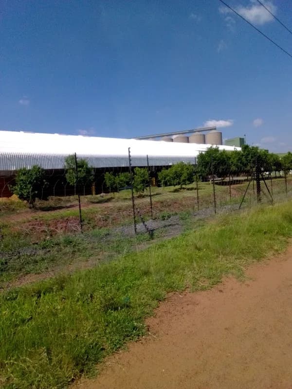 RSP Processing(Pty) Ltd in O'kiep