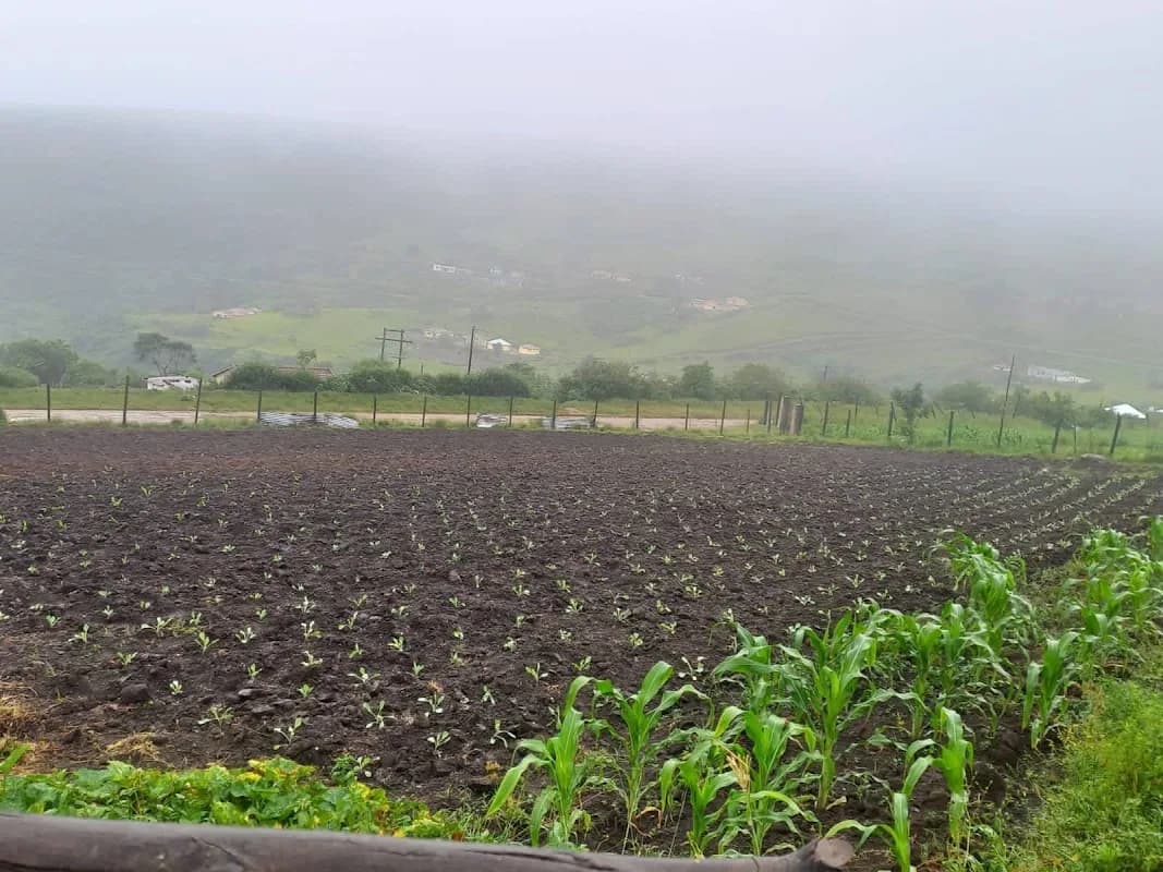 Farm Supplies pty ltd in Fourways
