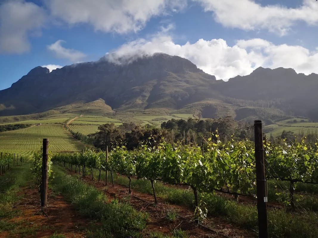 Agrimotion Consulting (Pty) Ltd in Die Boord