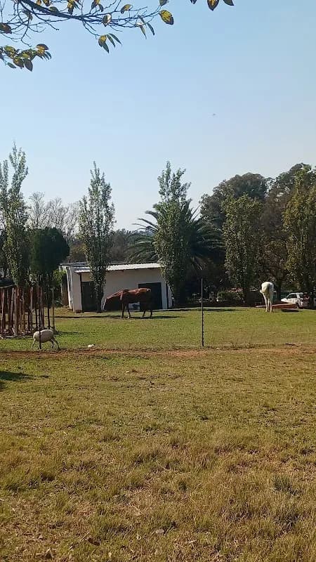 Kennedy Farm in Krugersdorp CBD
