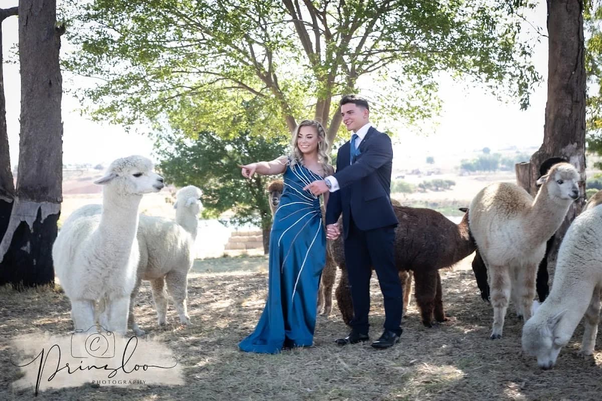 Lewis Family Farm in Centurion CBD
