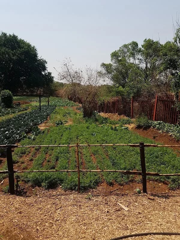 Siyakhana Garden in Houghton