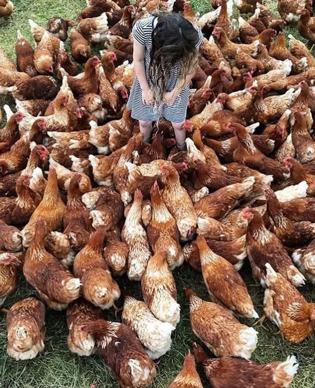 L AND A FARMING in Upington CBD