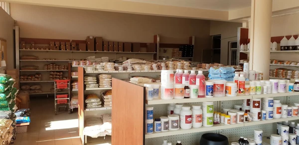 Goldwing animal feeds Klerksdorp in Flamwood