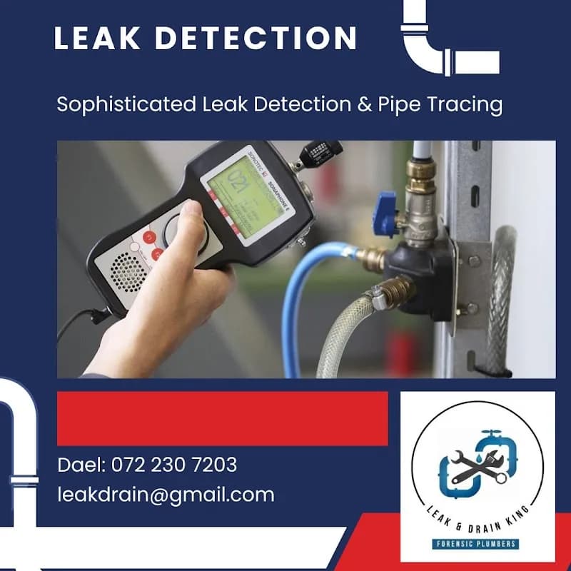Leak & Drain King in Houghton
