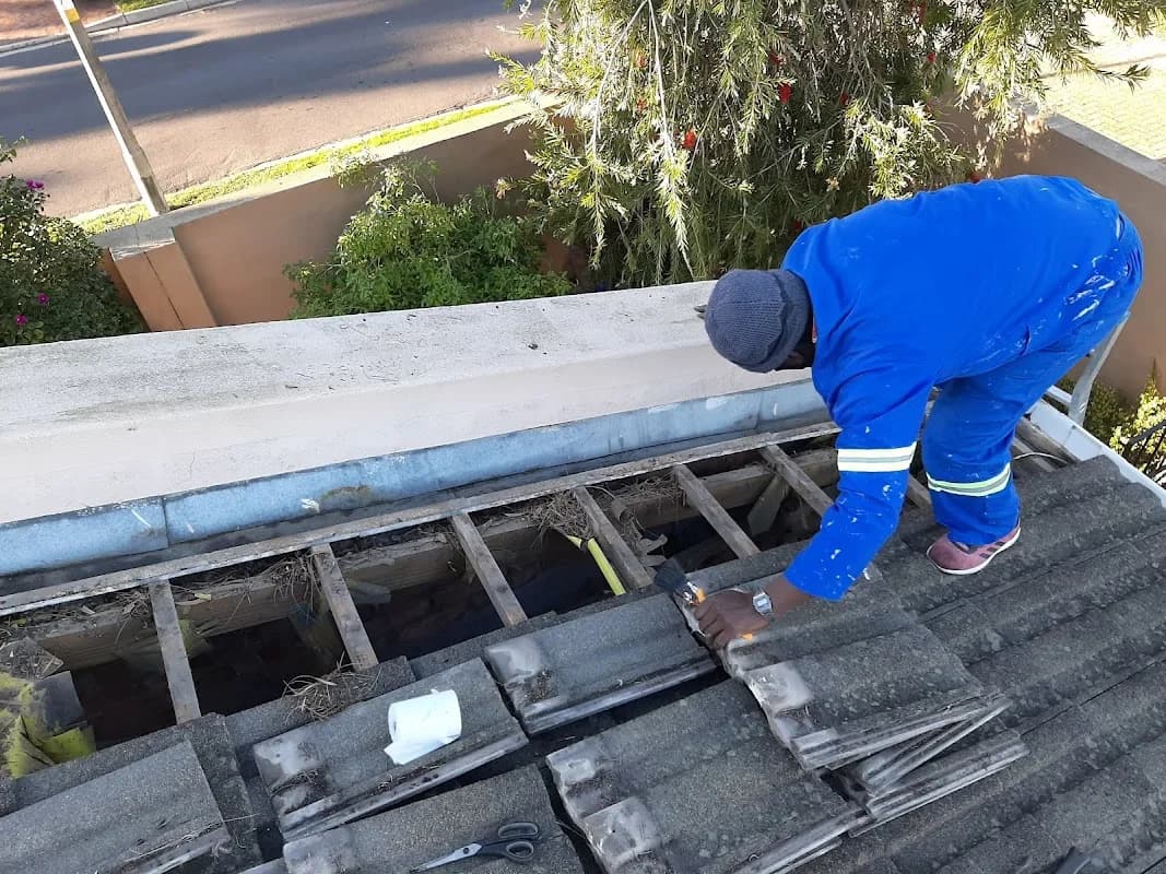 Men Behaving Handy in Langa