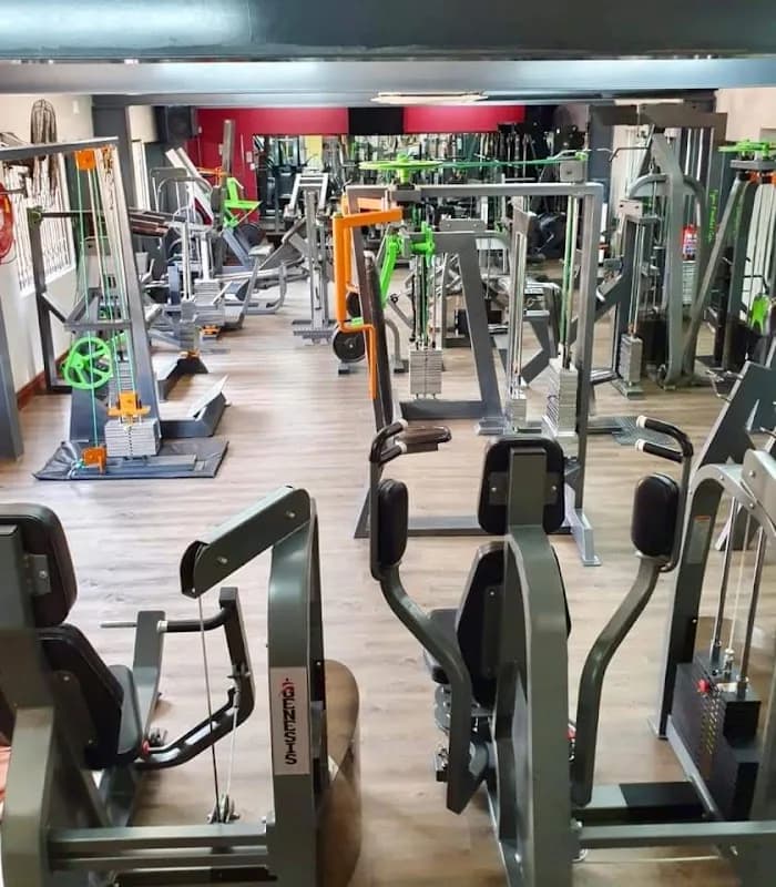 FIGURE FANATICS GYM in The Moot