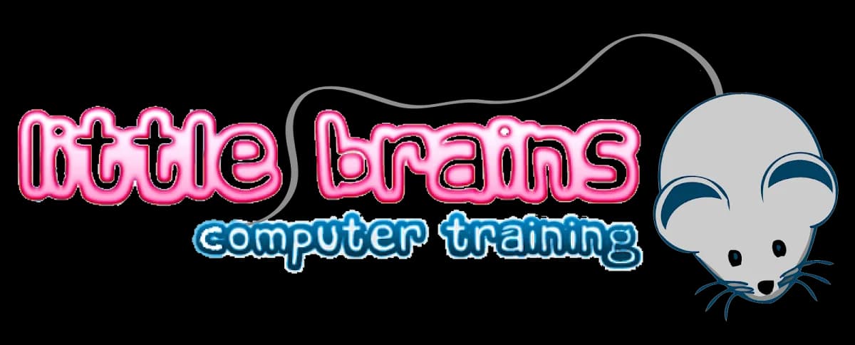 Enlightech and Little Brains Computer Training for Kids in Paulshof