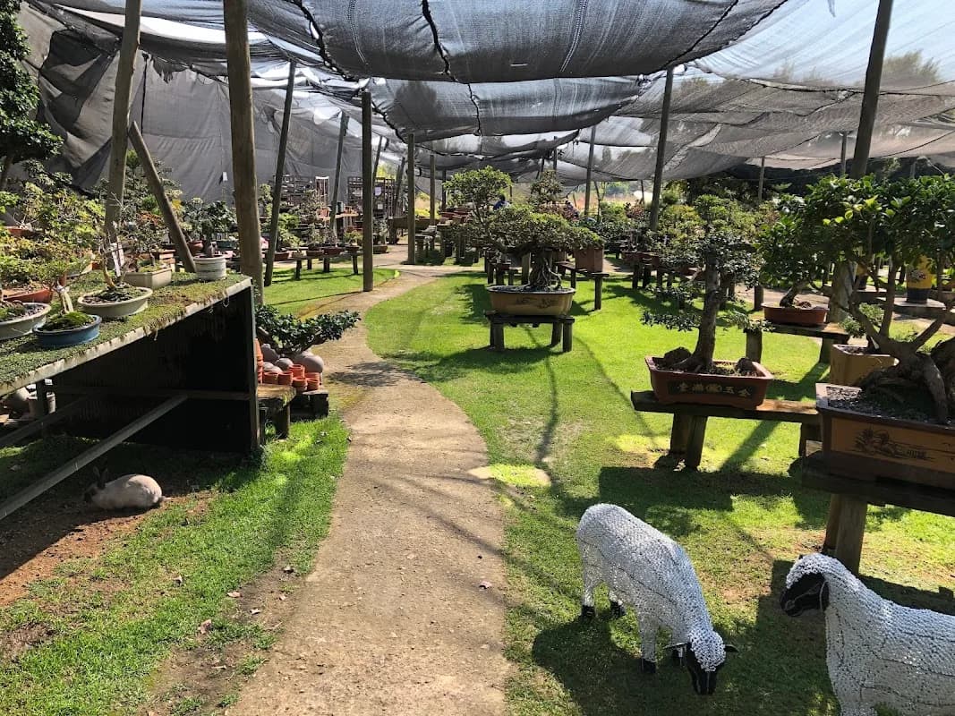 Sawasdee Bonsai & Orchids in Midrand