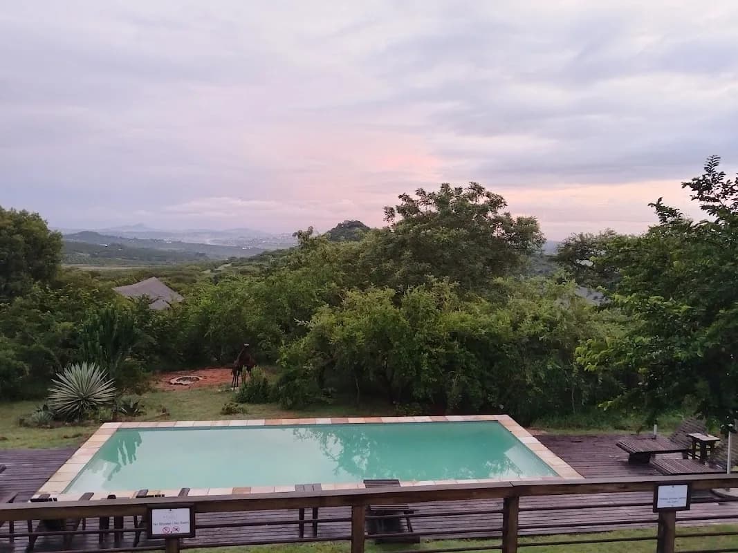 Wild african experiences in Hazyview