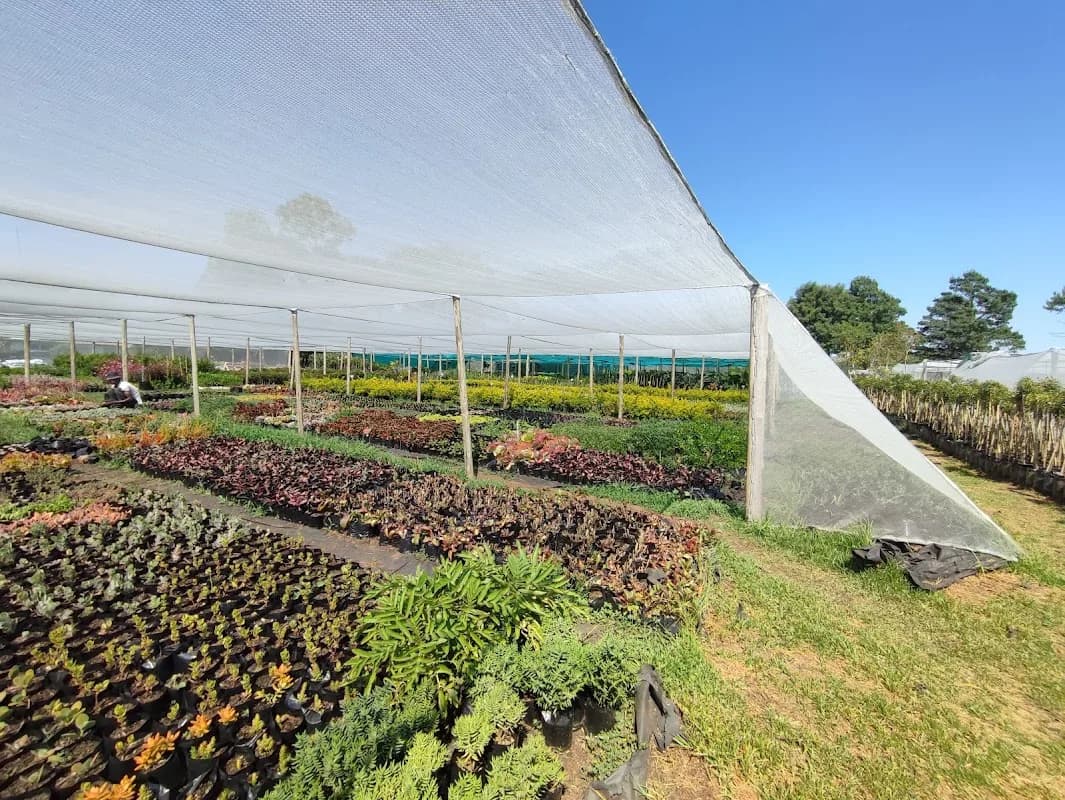 Fine Lines Landscaping in Ruimsig