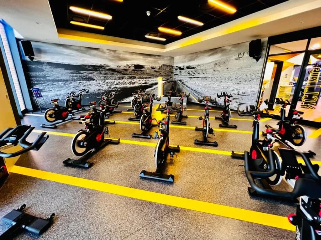 Planet Fitness Signature - Waterkloof Ridge in Waterkloof