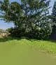 PERFECTLY CLEAN in Pinetown CBD