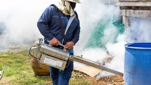 Vingold Fumigation & Pest Control Services in Bwari