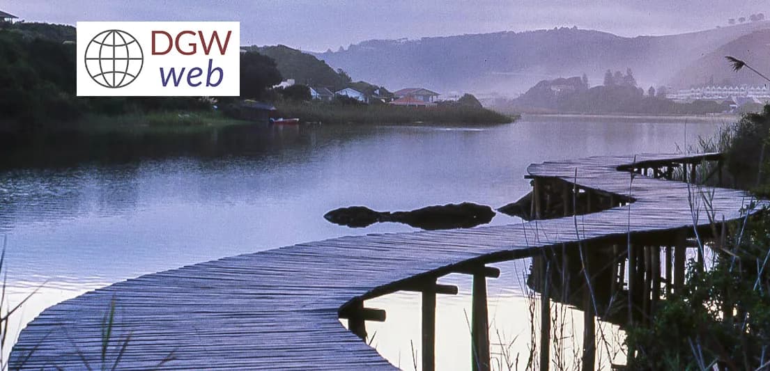 DGW web design in Constantia