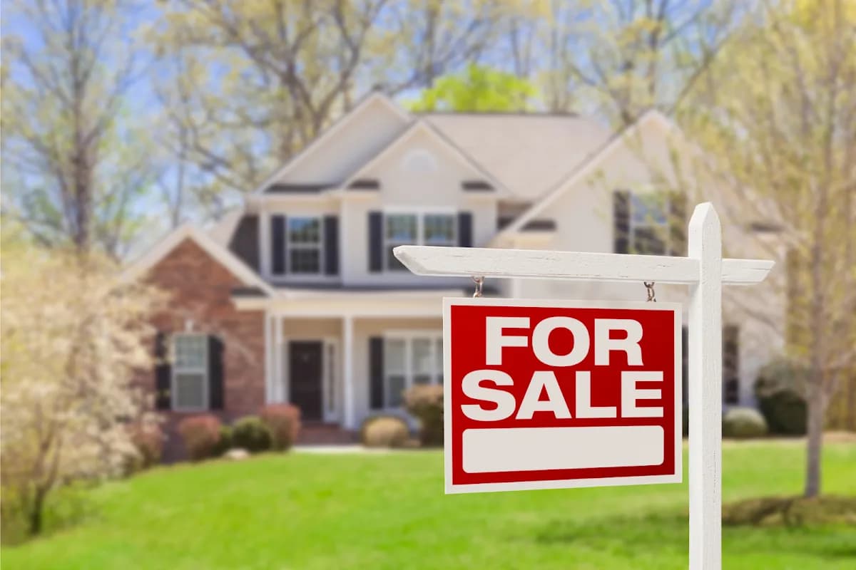 Carrow Real Estate Services: Denise Sherman in Downtown Albany