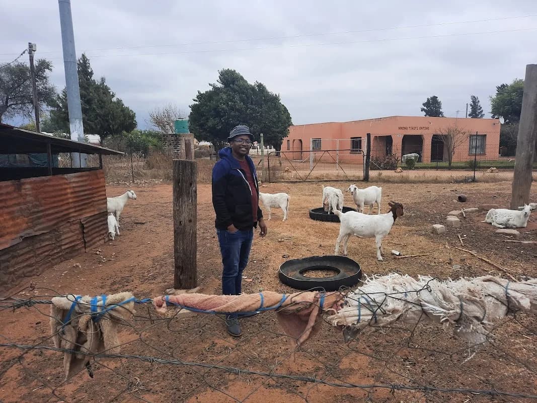 Badimo ba Temothuo pty in Mmabatho