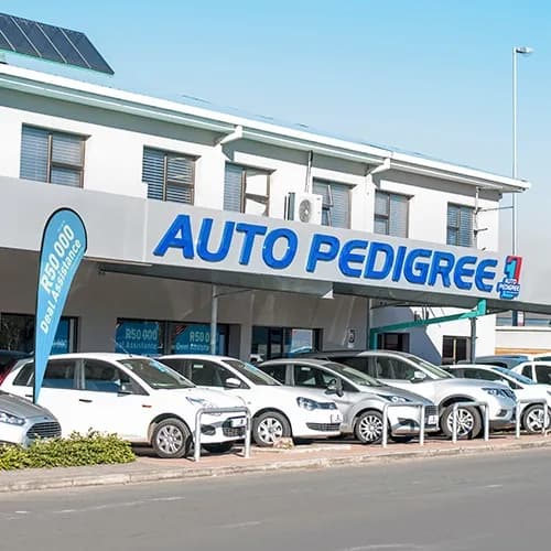 Auto Pedigree Kugompo City in Gonubie