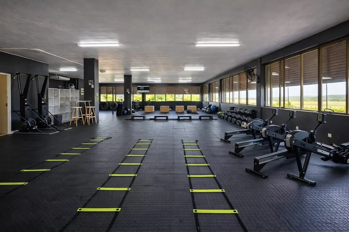 New You Fitness in Wellington