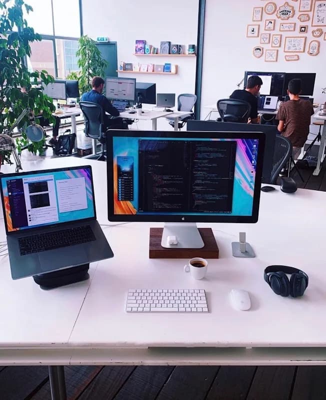 Web Development in Wynberg