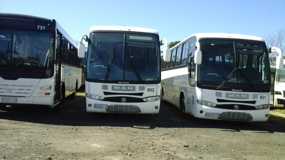 MAFAFA TRANSPORT SERVICES in Safari Extension