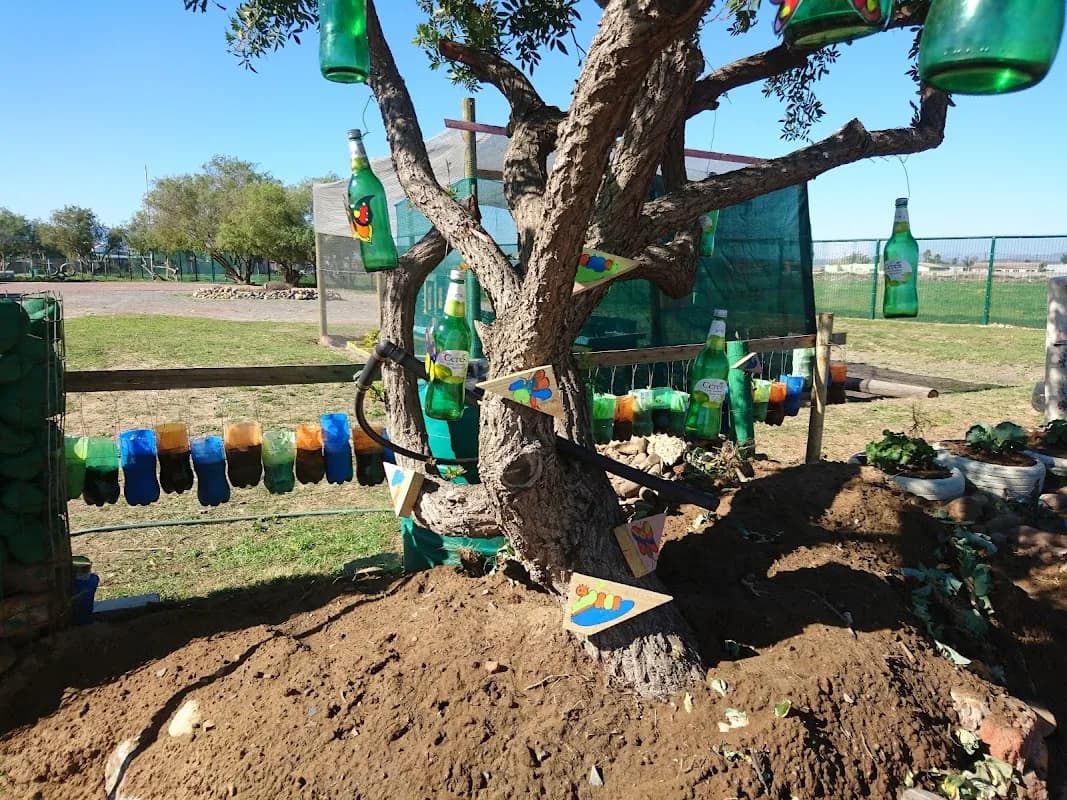 Eden Training Centre in Boland Park