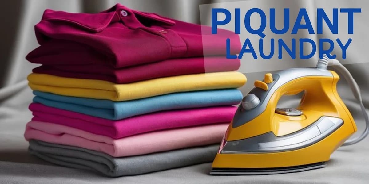 PIQUANT LAUNDRY AND CLEANING SERVICE in Lokogoma