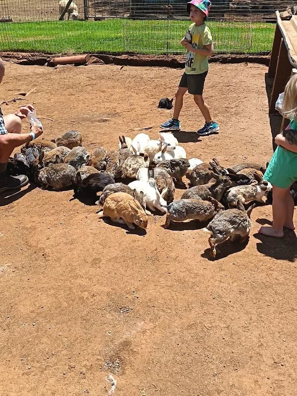 Oppi Berg Animal Farm in Madadeni