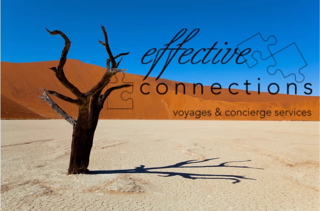 Effective Connections in Woodmead