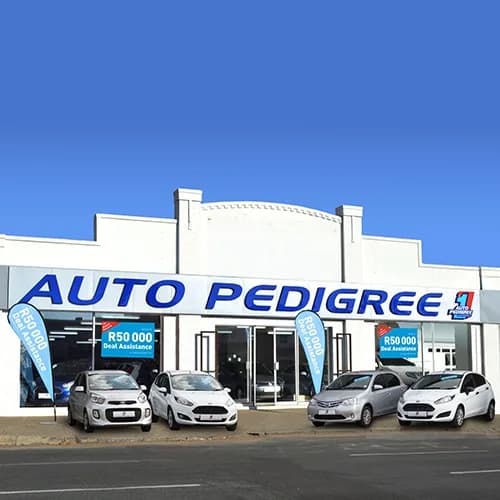 Auto Pedigree Polokwane South in Flora Park