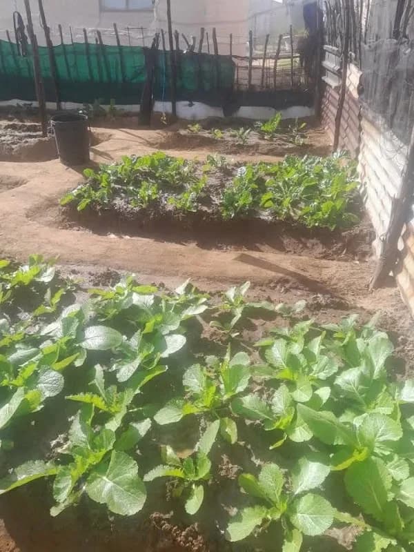 LungiK in Ngwelezane