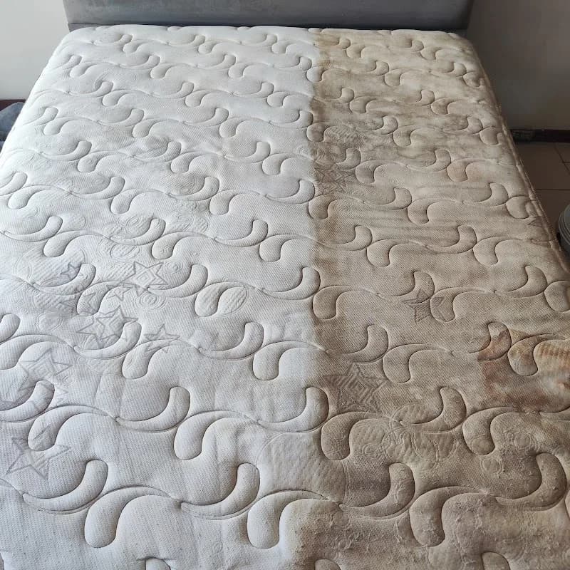 Clean & Restore in Uitenhage