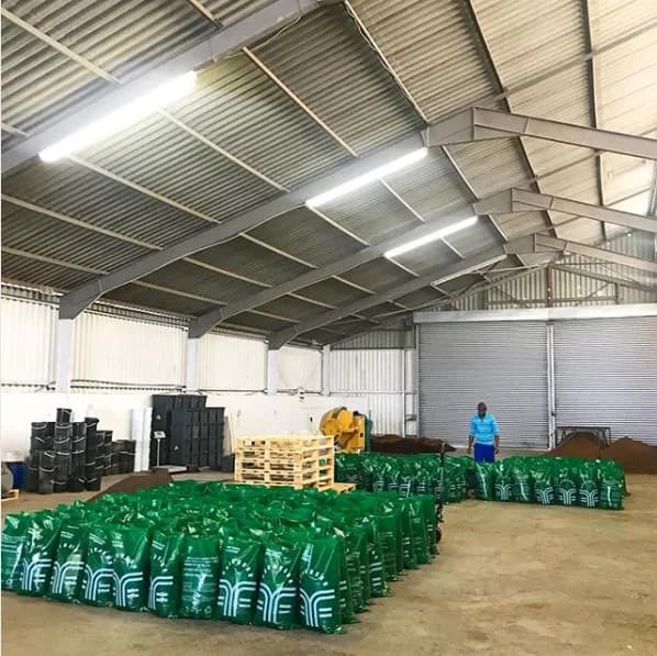 Freedom Farms in Gordon's Bay