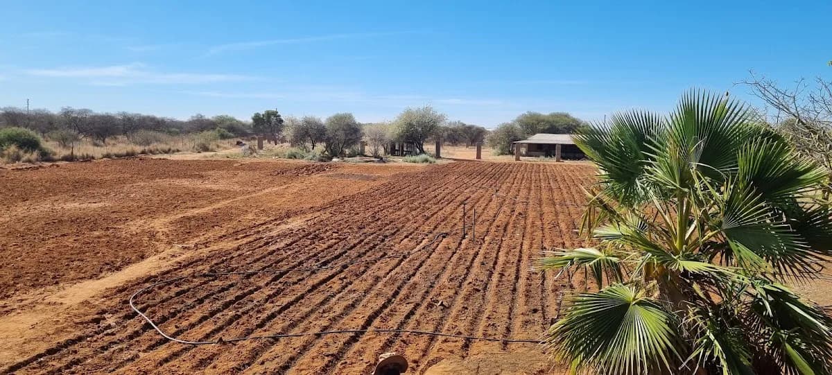 AJ GROWERS in Marapong