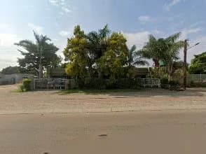 Bashintshile M in Seshego