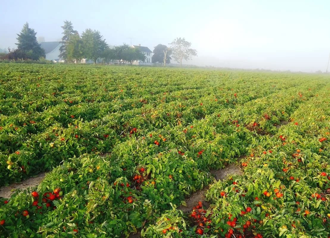 Orkwood Farms in Lynnwood