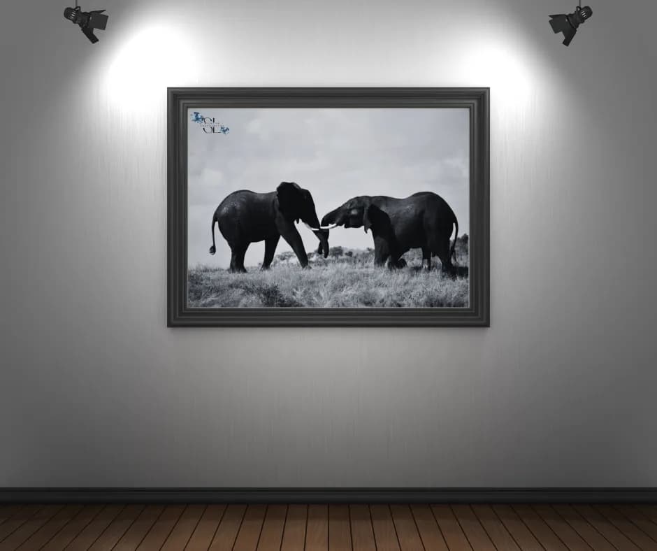 S.L Photography in Bela-Bela CBD