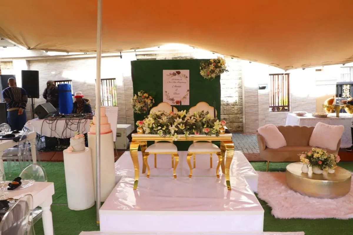 Tshepo- Designer in Meadowlands