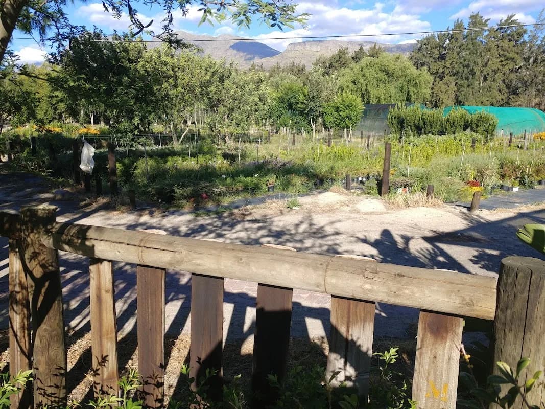 St Omer Farm Nursery in Paarl CBD